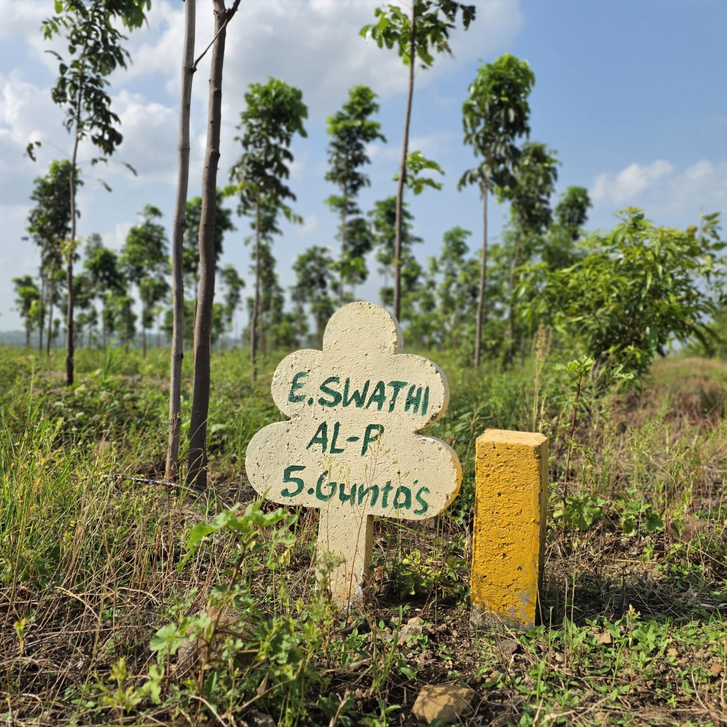 Customer Plot Marker